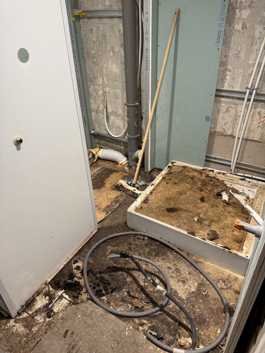 Salle de bain insalubre avant nettoyage et remise en état